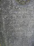image of grave number 172456